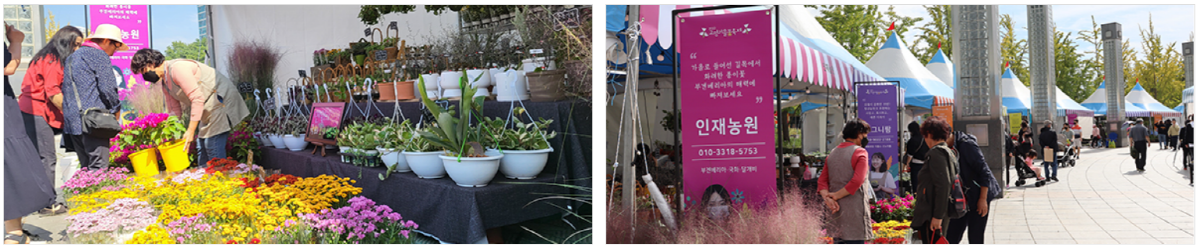 고양 꽃박람회