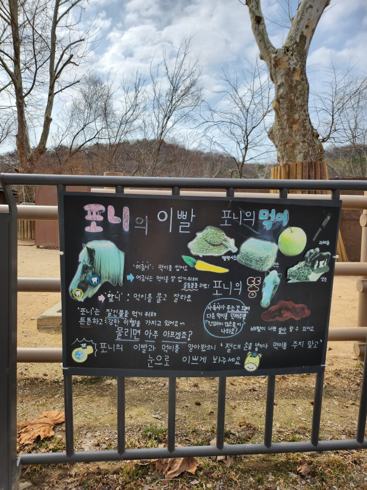 포니
