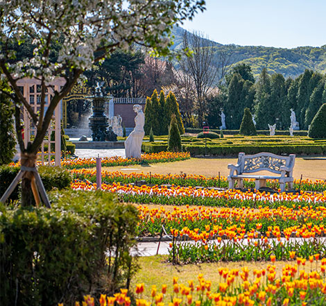벽초지수목원 봄 사진
