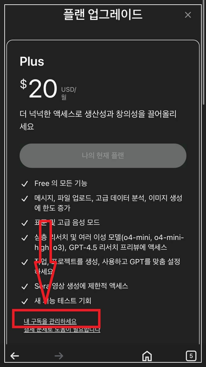 챗GPT 구독취소