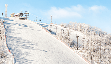 2025/2026 휘닉스파크 평창 스키장 시즌패스 완벽 가이드