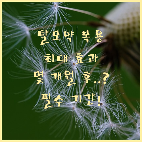 탈모 치료제 꾸준히 먹어야 최대 효과..