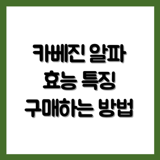 카베진 알파 300정