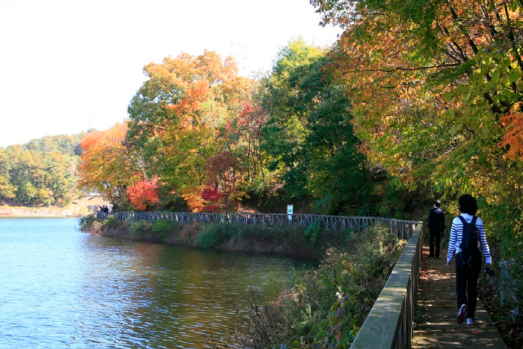 마장호수 출렁다리