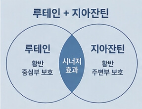 루테인 복용시간