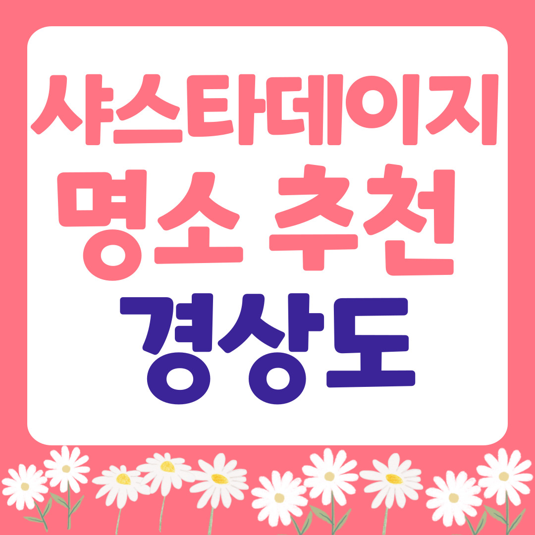 경상도 샤스타데이지 명소