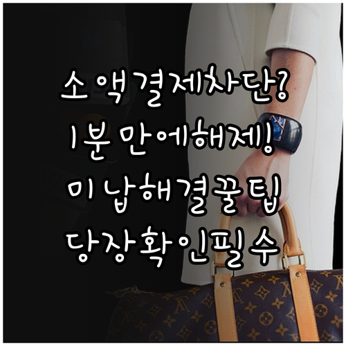 스마트폰 소액결제 차단 해제 경로와 ..