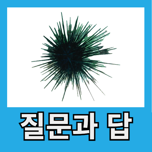질문과 답
