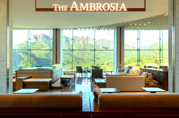 생방송 투데이 고성 더엠브로시아 카페 커피 경치 맛집