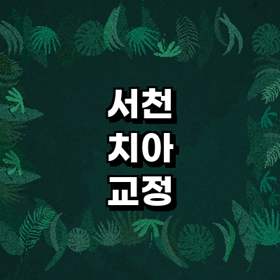 서천군 교정 치과