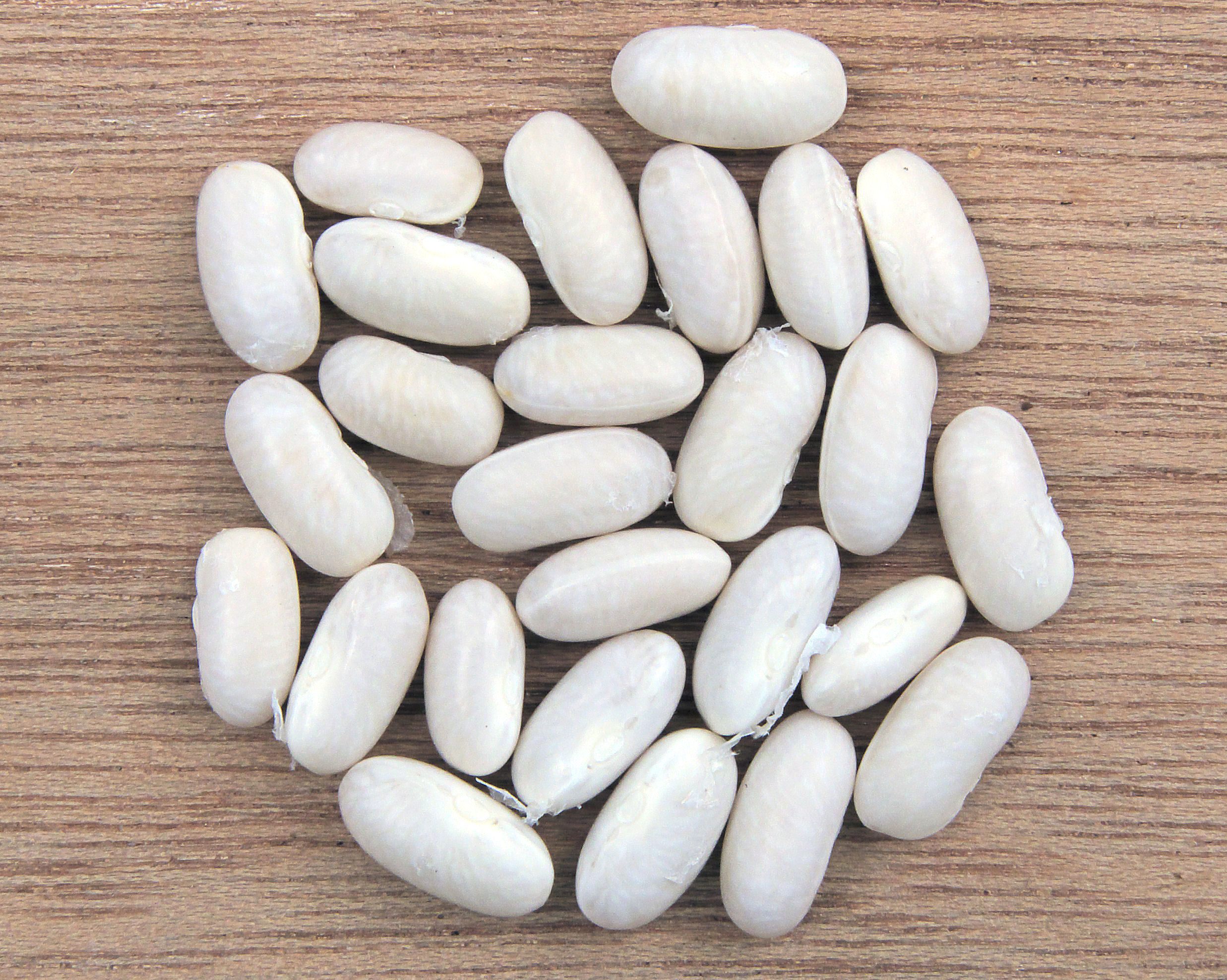 흰콩-navy bean-건강식단