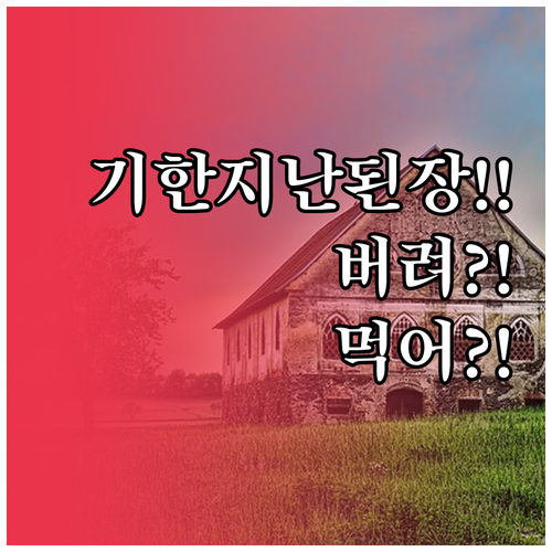 유통기한 지난 된장 언제 버리고 언제..