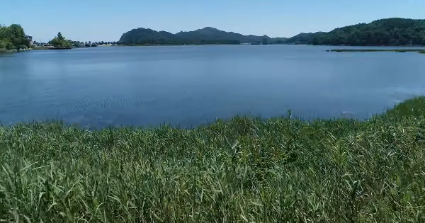 봄에 떠나기 좋은 국내 여행