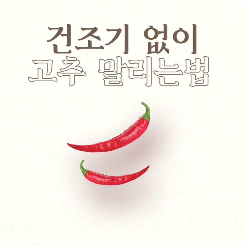 건조기 없이 고추 말리는 법