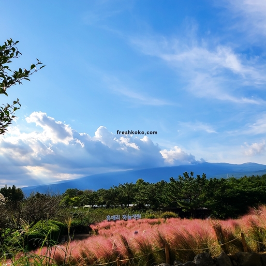 10월 축제 가볼만한곳 베스트10