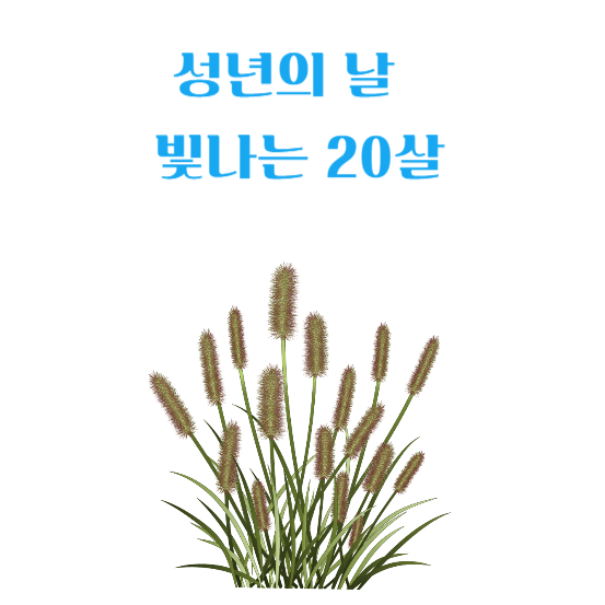 성년의 날 나이 유래와 역사 의미 선물 및 행사와 관습 알아보기