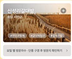 단풍여행지 추천