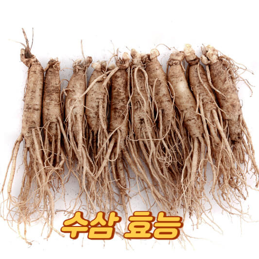 수삼 효능