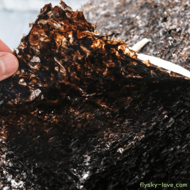 다이어트에 도움 되는 곱창김