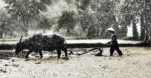 2024년 공익직불금 의무 교육 신청방법