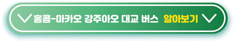 홍콩-마카오-강주아오-대교-버스--알아보기