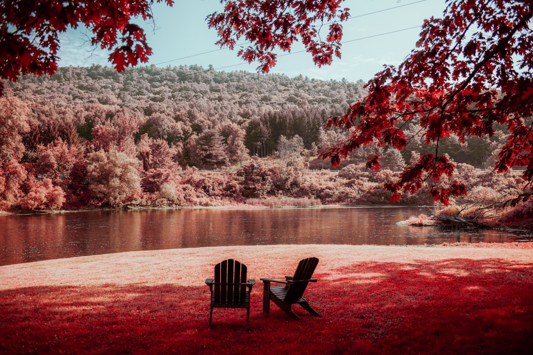 Relaxation.