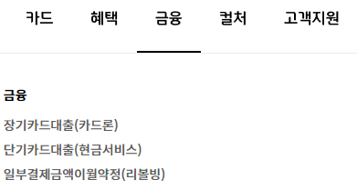 현대카드 홈페이지 금융 서비스