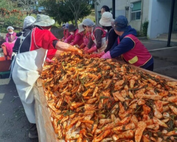 서산 국화축제_17
