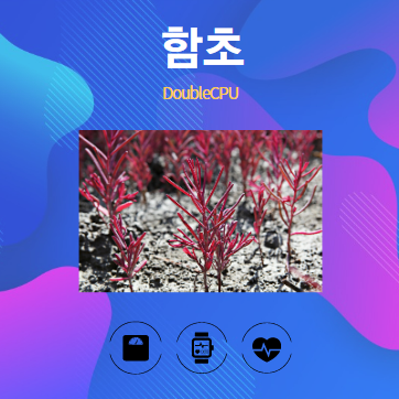 함초 알아보기