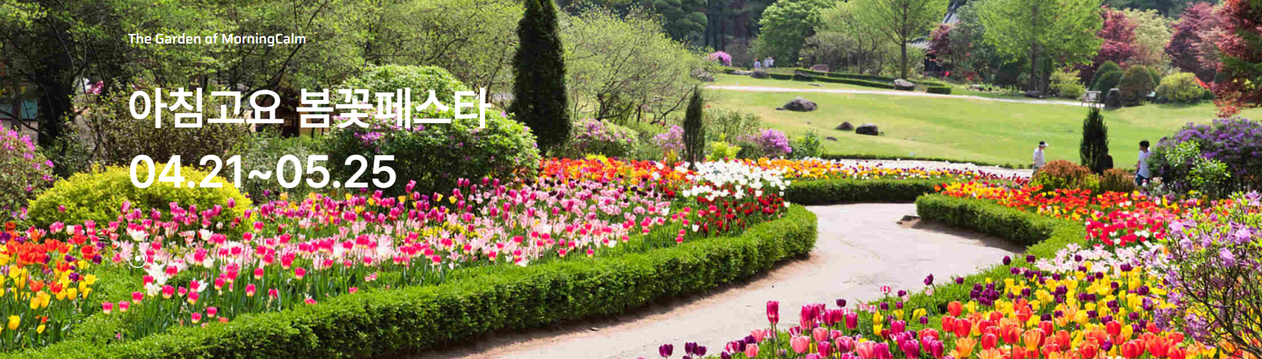 요즘 핫한 가평 뷰맛집 여행코스 (호명호수, 아침고요수목원, 드라이브)