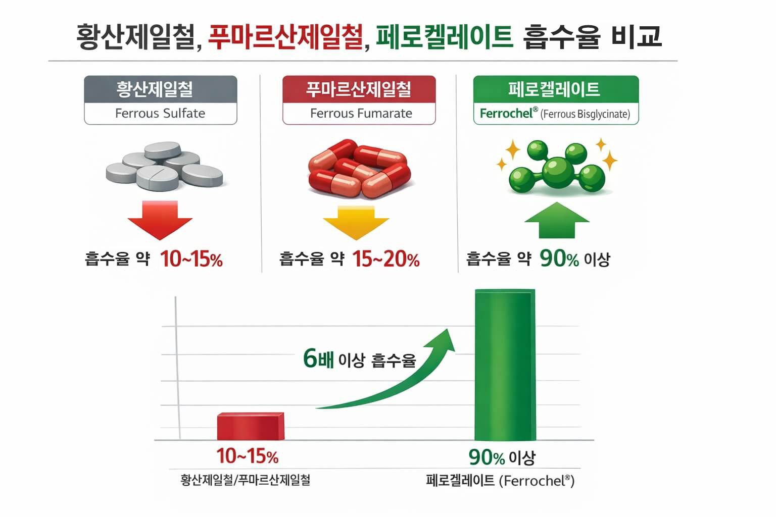 황산제일철 푸마르산제일철 페로켈레이트 흡수율 비교