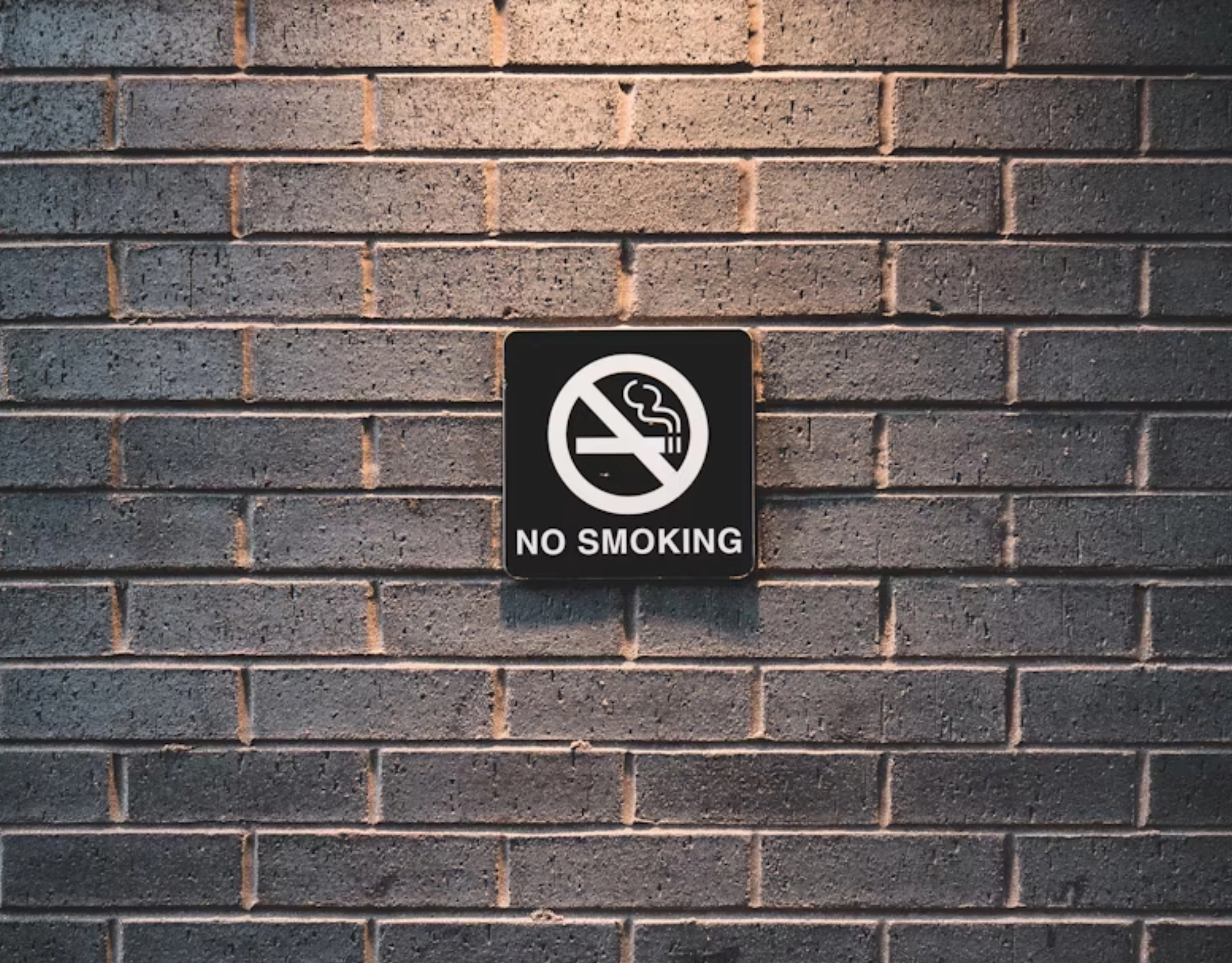 고지혈증 관리 습관