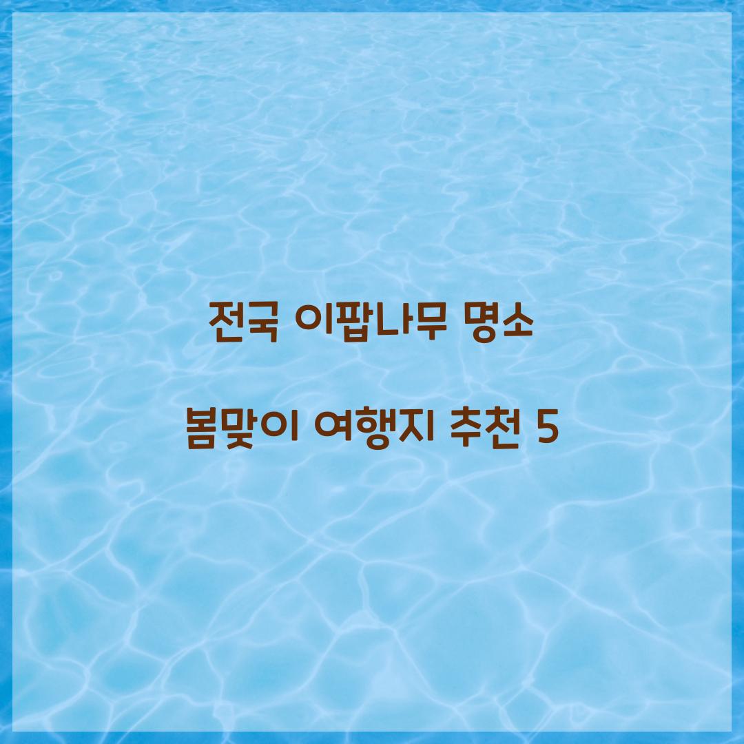 전국 이팝나무 명소