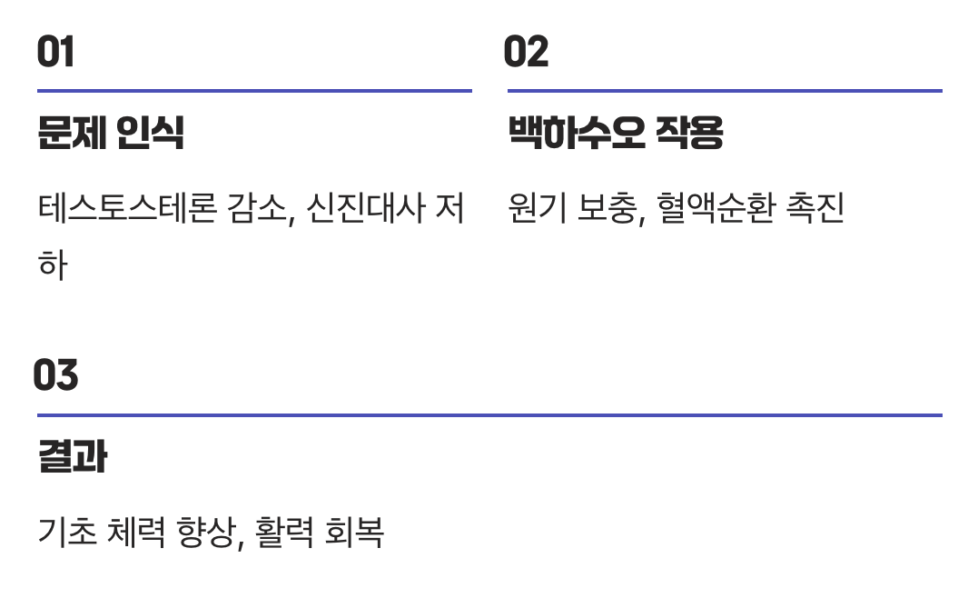 남성의 '힘', 기력을 보충하다
