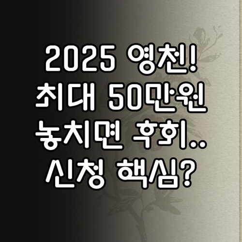 영천시 전입지원금 2025 총정리 최..