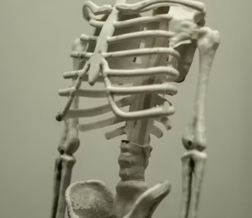 골다공증에 좋은 음식 영양제 식단