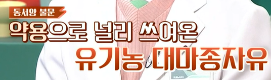 대마종자유