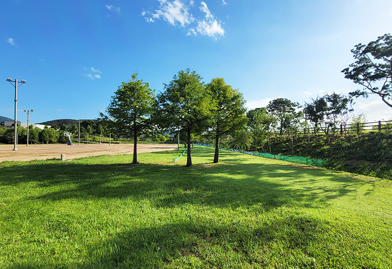 대구	달성군 과학관공원파크골프장 소개