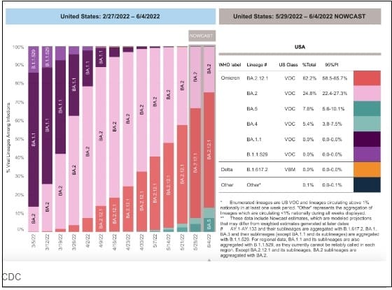 WHO, 새로운 오미크론 변이 BA.5...올 여름 빠르게 확산 경고 BA.5: Latest omicron variant expected to spread fast