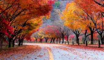 가을 단풍여행 베스트 명소 시니어 추천 코스 완벽 가이드_41