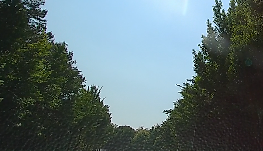 Alt 속성 문제 해결 설명 이미지