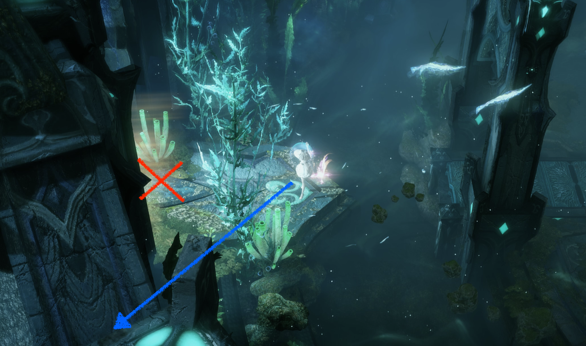 노틸러스의 흔적 모코코 상세 위치