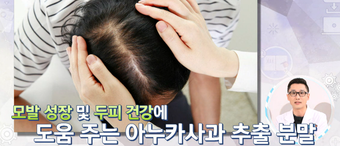 아누카 사과 분말