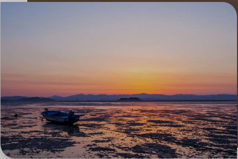 2025 보령머드축제 정보 예매 예약하기 얼리버드 
