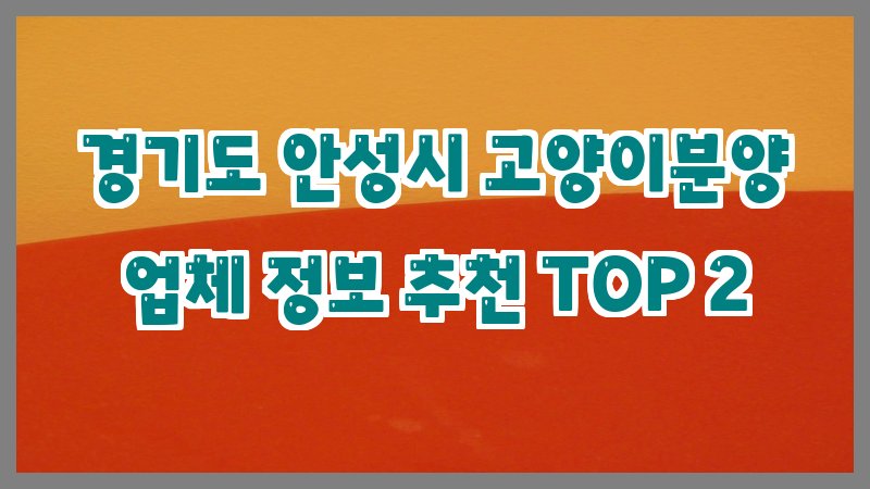 경기도 안성시 고양이분양