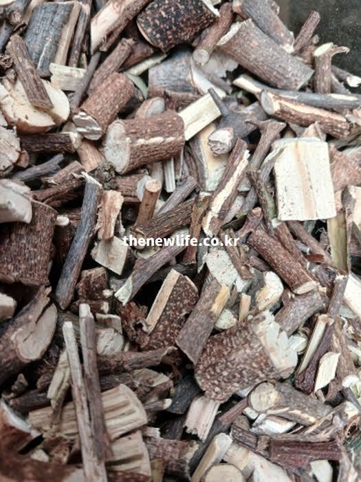 꾸지뽕 효능 기름 효소