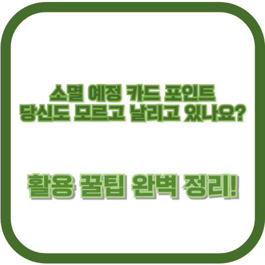 소멸 예정 카드 포인트, 당신도 모르고 날리고 있나요?&rdquo; 활용 꿀팁 완벽 정리!