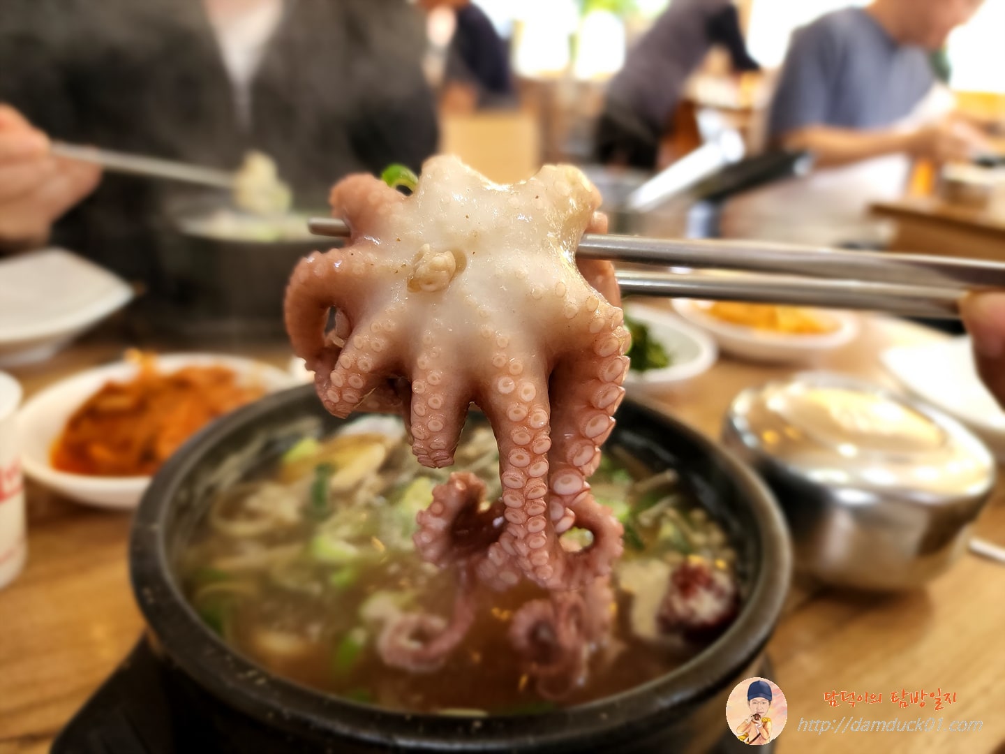 낙지