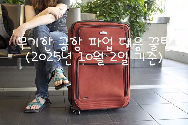 무기한 공항 파업 대응 꿀팁 (2025년 10월 2일 기준) 관련 이미지