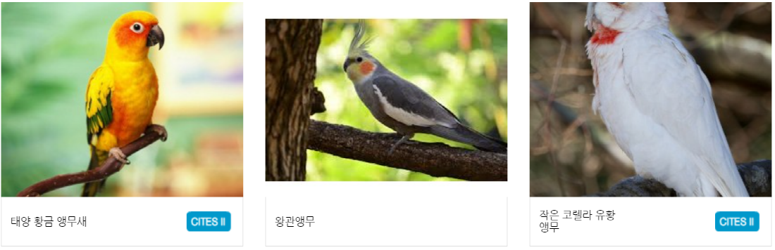 구미 쥬쥬동산